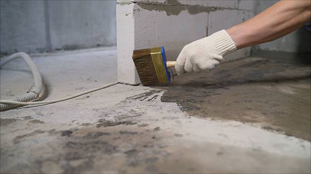 24/7 Emergency Basement Waterproofing experts in Lewisville, WA